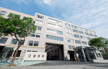 Company Profile